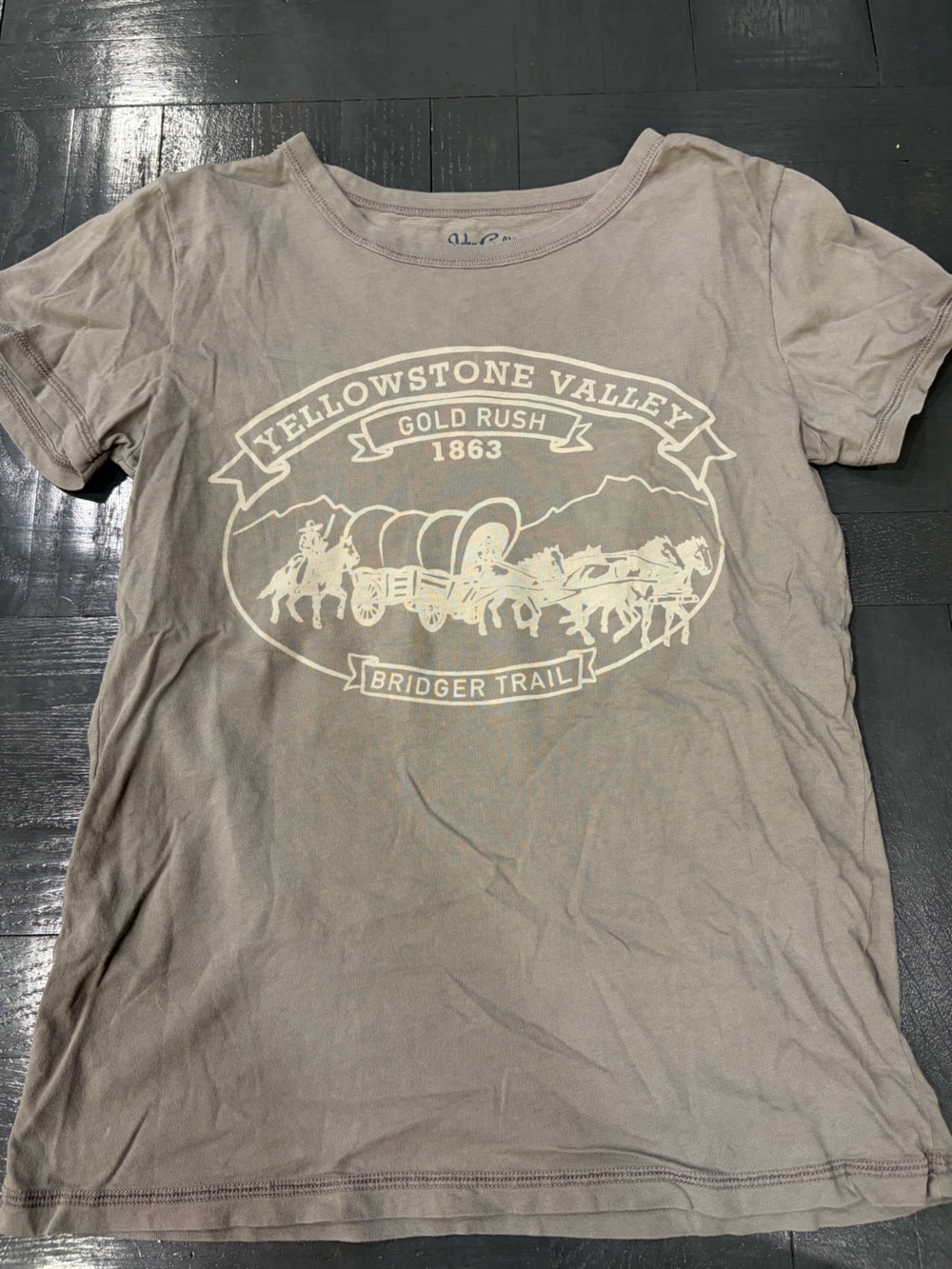 Brandy Melville Taupe Tee with Blue Print